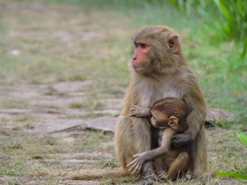 19621075_10213726963751604_1716198064450723086_o